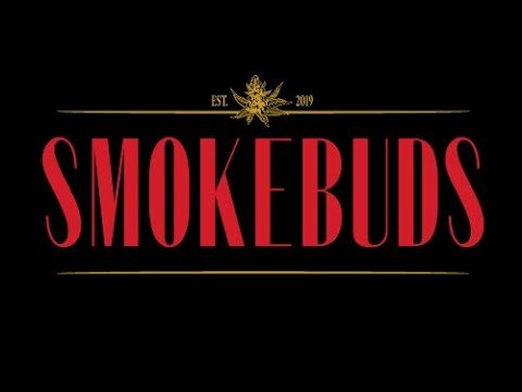 SmokeBuds