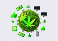 cannaglobe s top tier cannabis affiliate program