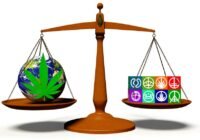 comparing cannabis affiliate programs