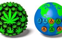 comparing cannabis affiliate programs