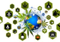 in depth analysis of cannabis affiliate programs