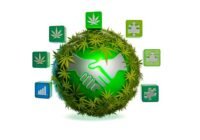 reviewing the top cannabis affiliate programs