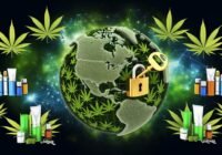 ultimate guide to cannabis affiliate programs